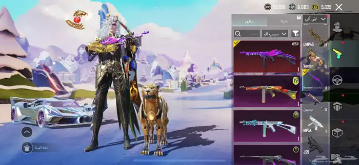 حساب ببجي 26