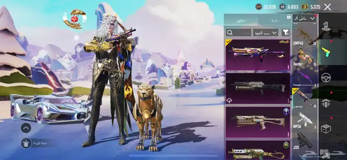 حساب ببجي 31