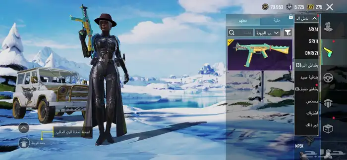 حساب ببجي للبيع 2