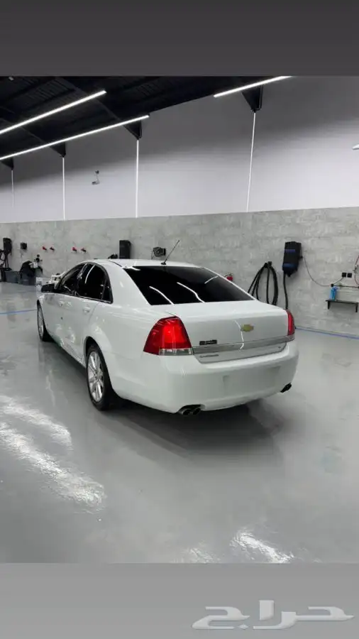 كابرس بدي بلد 1