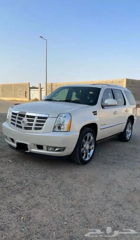 كادلك اسكاليد قصير 1