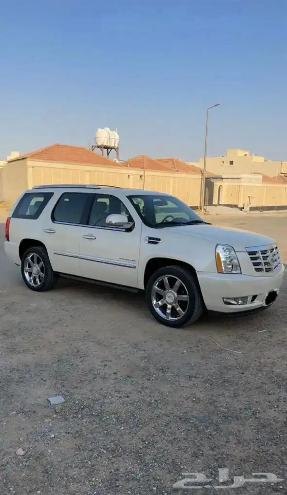 كادلك اسكاليد قصير 0