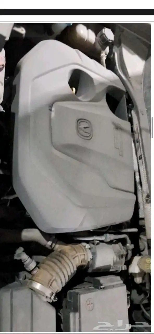 شانجان نظيففه جدا . 5