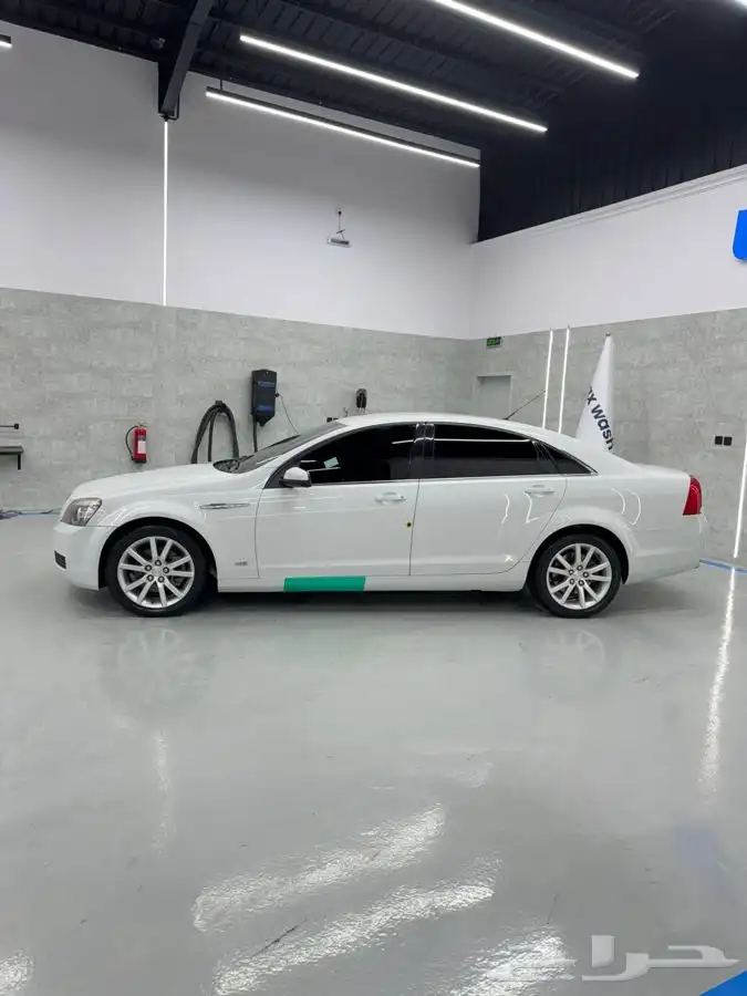 كابرس بدي بلد 5