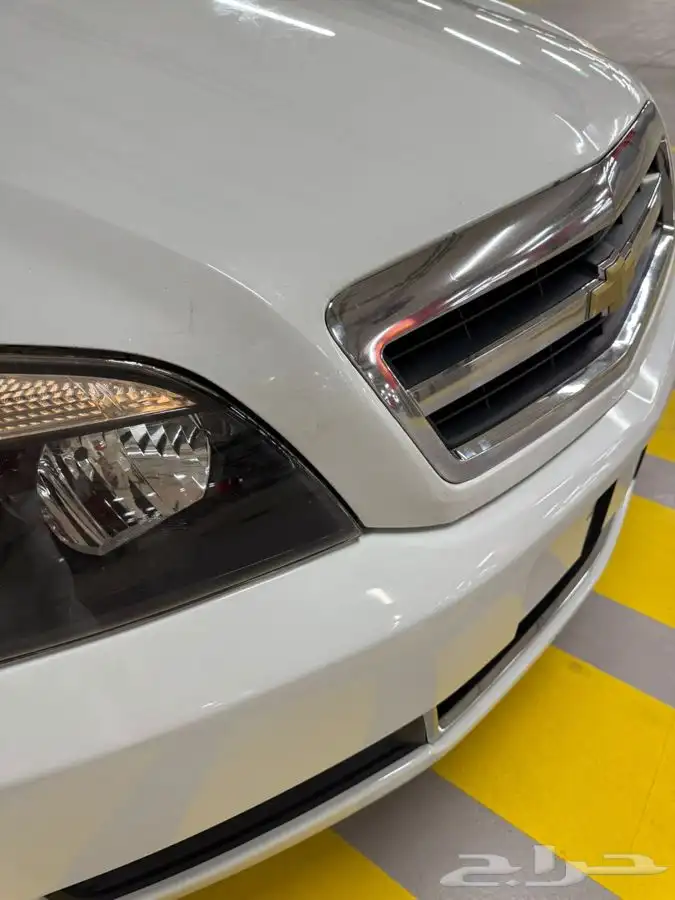 كابرس بدي بلد 10