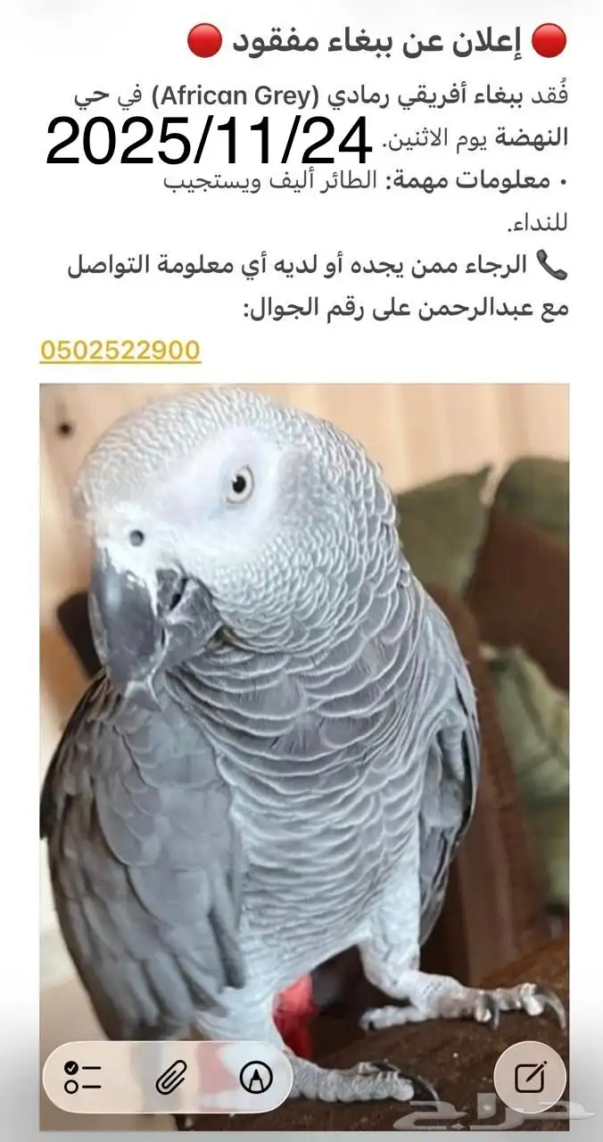 كاسكو مفقود بحي النهضه 0