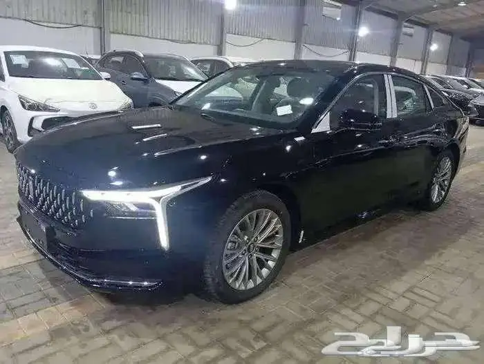 فاو- بيستون - بي 70 - كومفورت - 2026 2