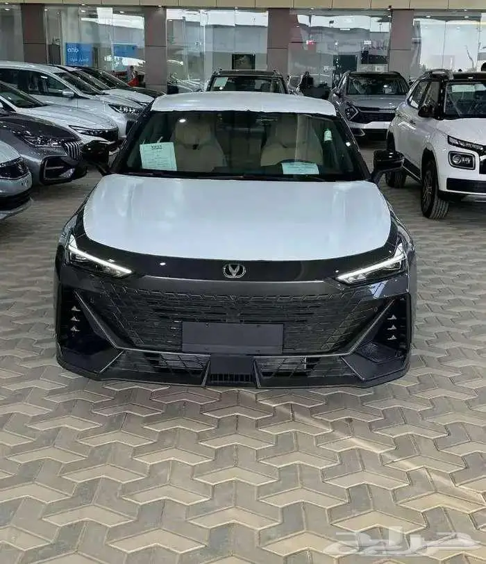 شانجان يونى فى ايليت 2026 اصفار 8