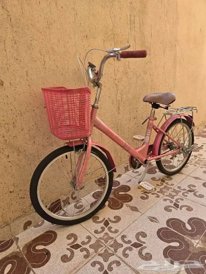 بسكليت السعر 100ريال 1