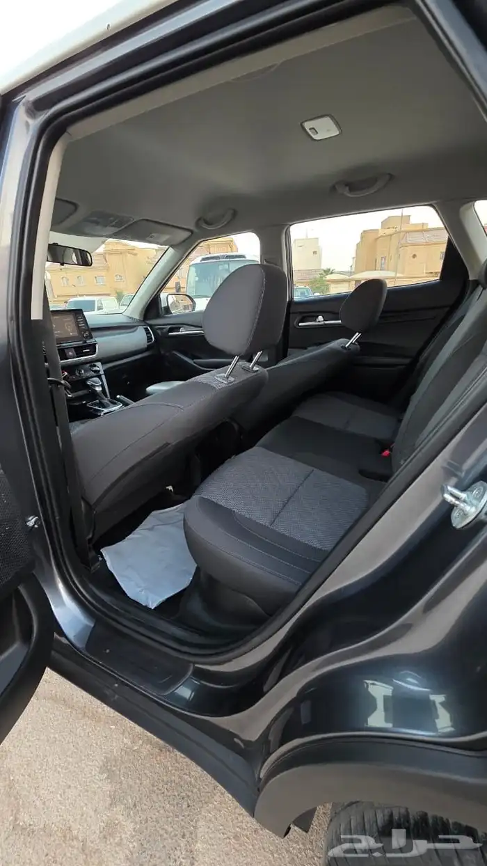 سيلتوس 2023 12