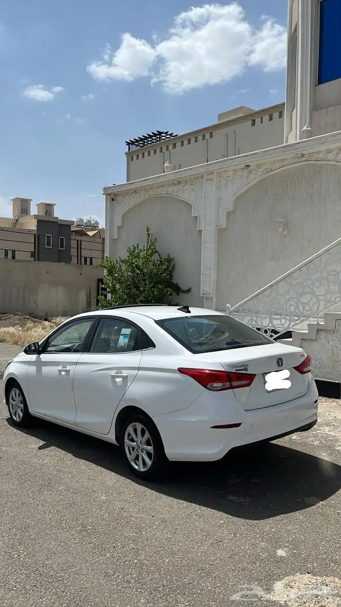 شانجان السفن 2025 2