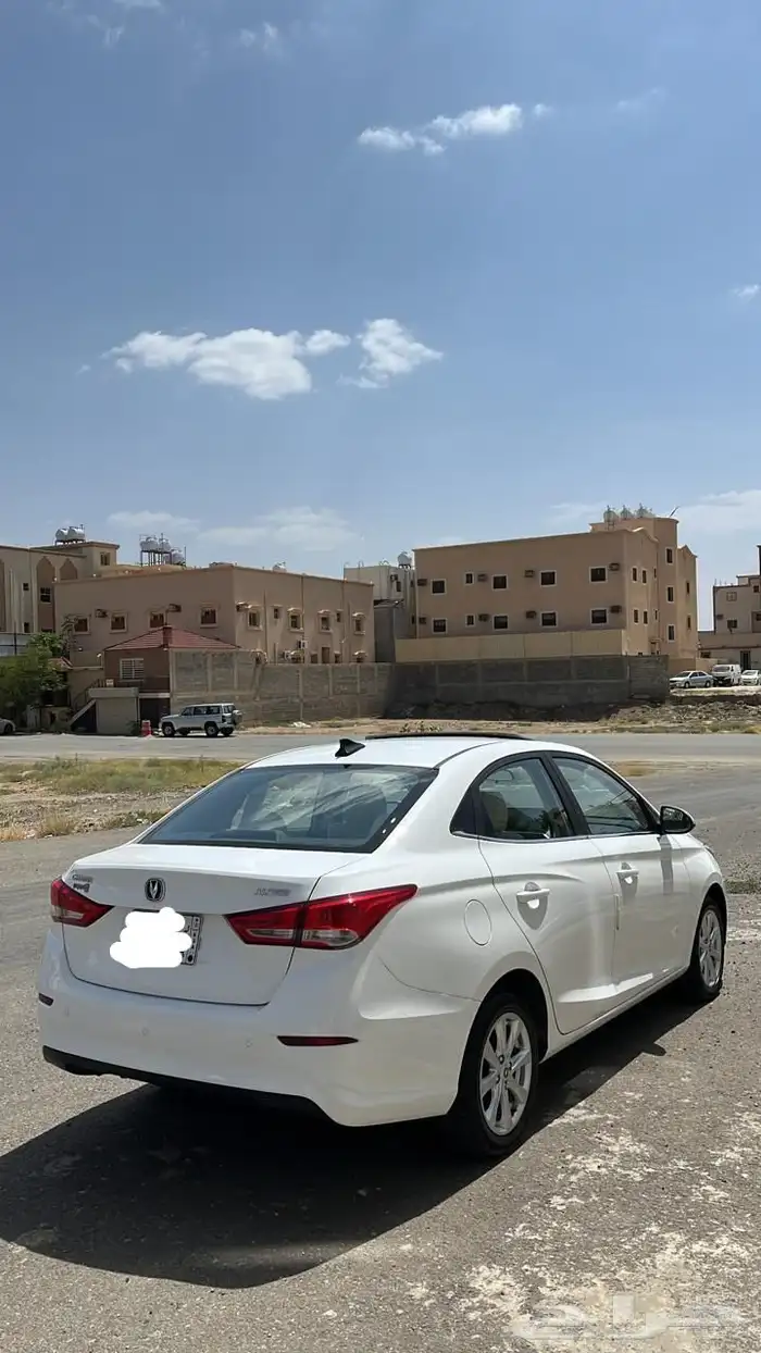 شانجان السفن 2025 1