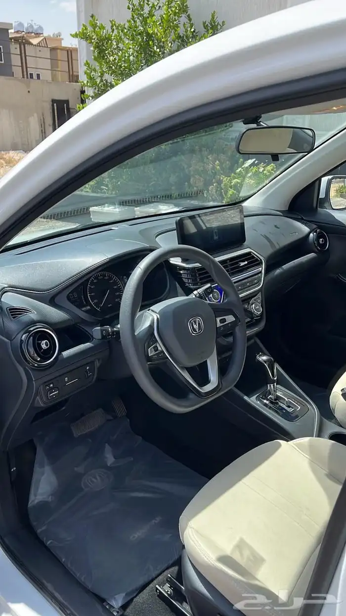 شانجان السفن 2025 4