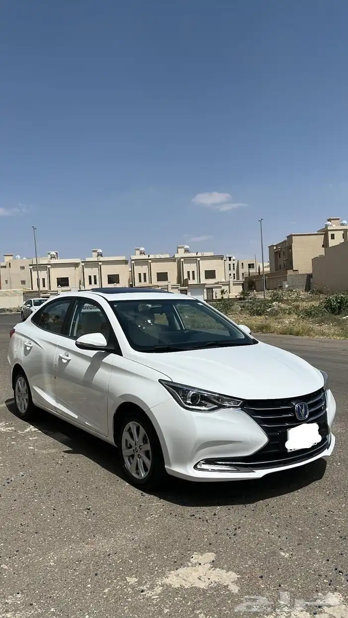 شانجان السفن 2025 0