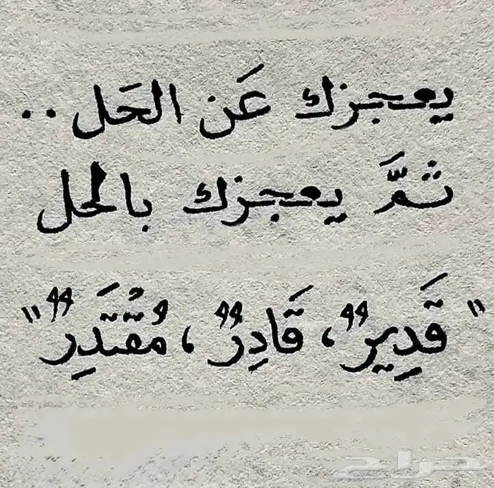 مطلوب ذكور ارنب 0