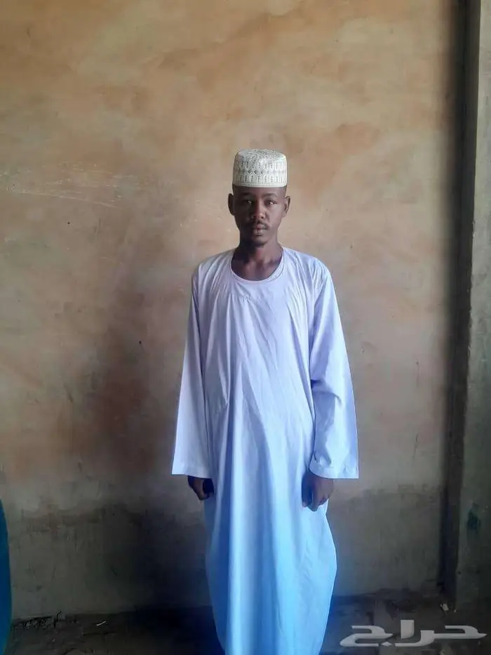 راعي غنم وابل سوداني ابحث شغل 0