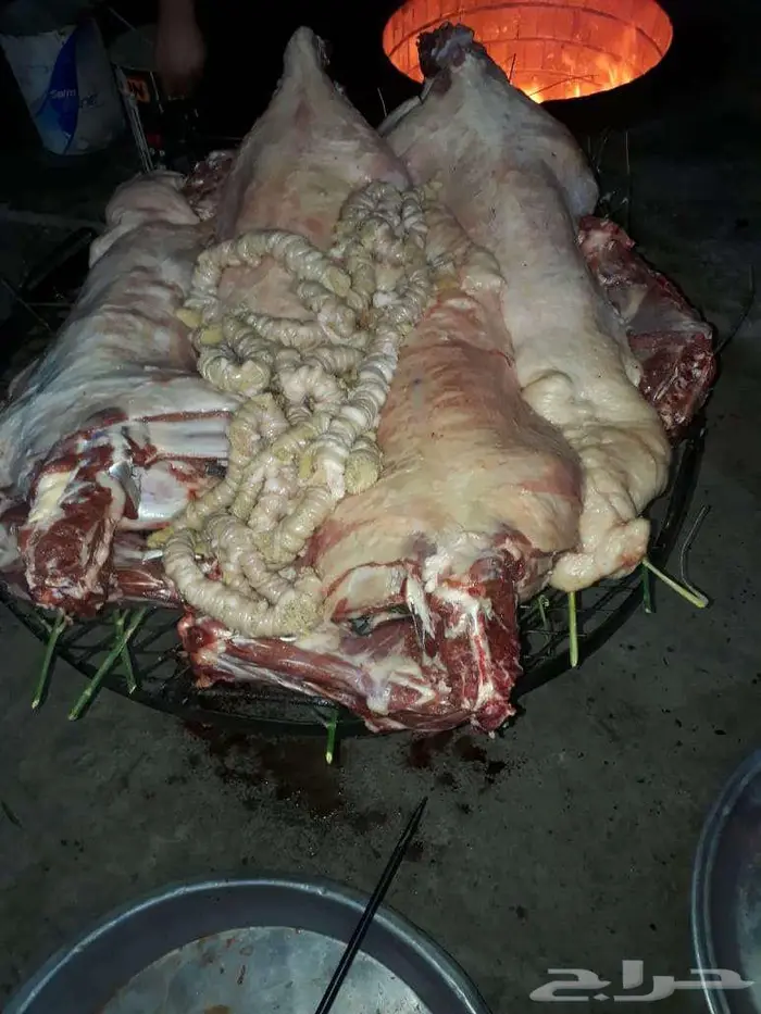 ذبائح حنيذ مندي عربي سليق كوزي مديني كابلي بخاري 14