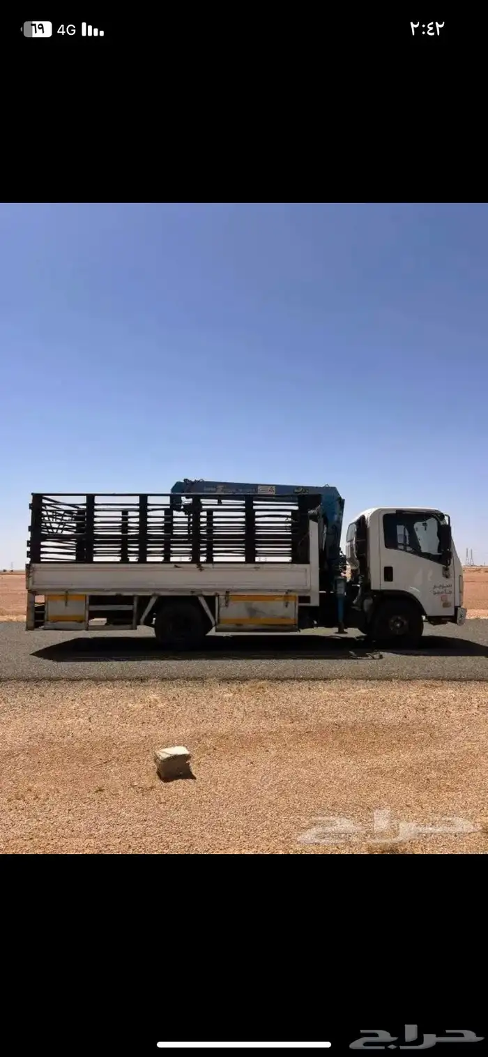 دينا لتحميل الابل والاغتام 0