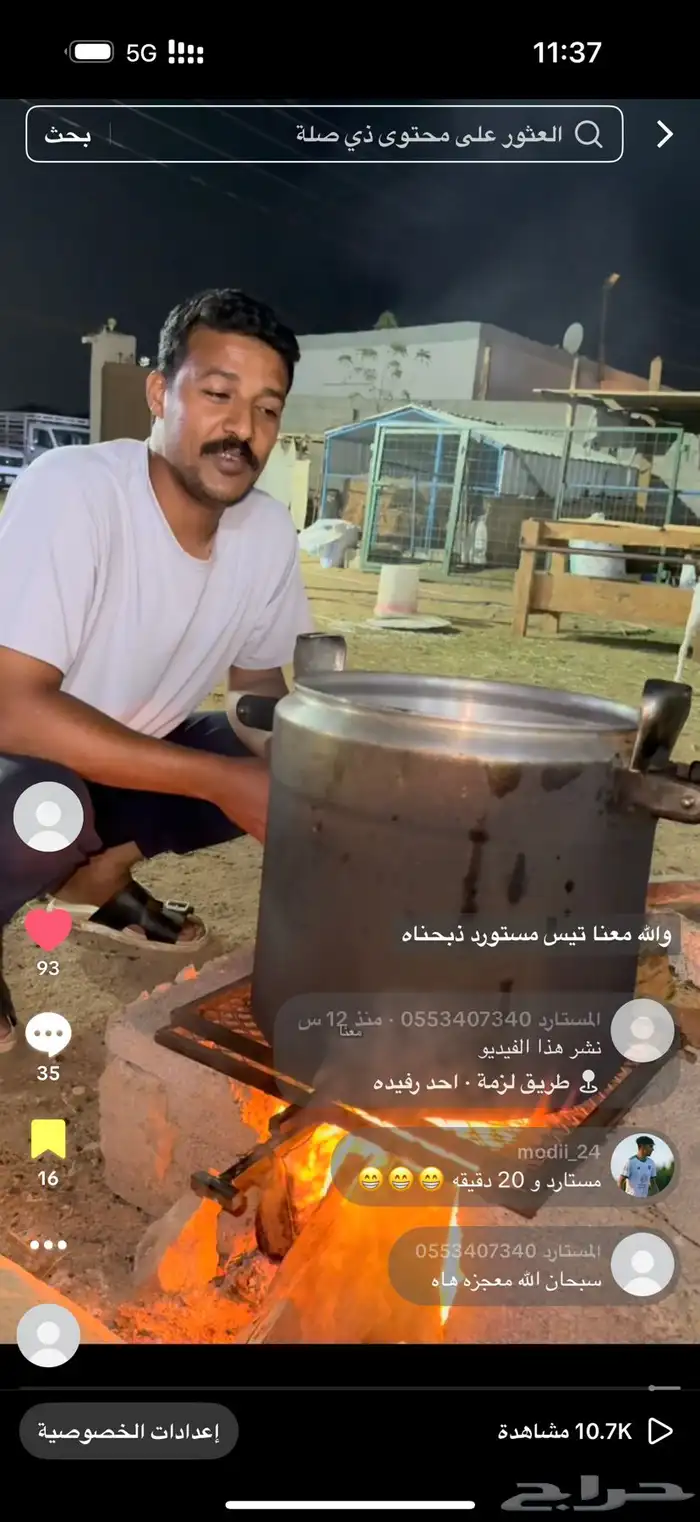 تيوس مستورده ابها احد رفيده الطايف مكه جده 3