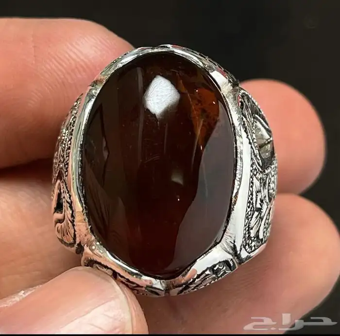 عقيق كبدي مصور 1