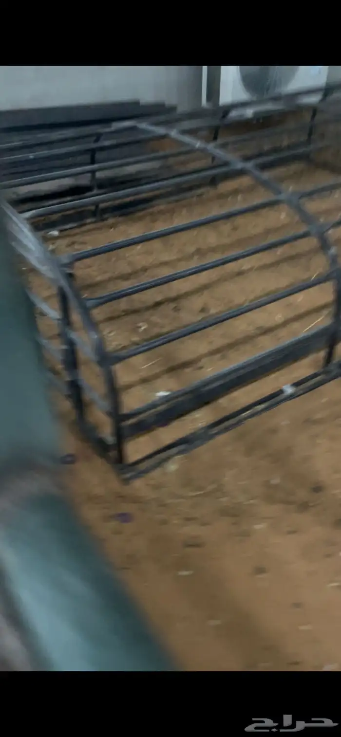 سوق الحربوع 1