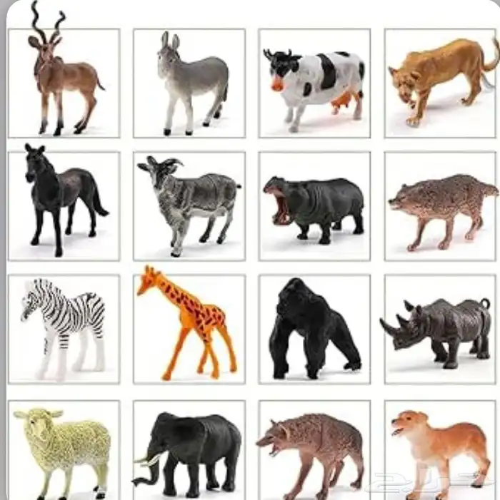 توفرتذاكرحديقة الحيوان الثلاثاء والاربعاء 0