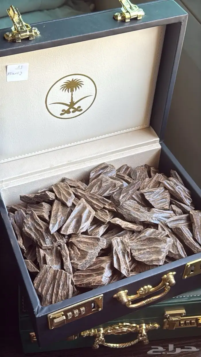 عود كلمنتان محسن بيور 1