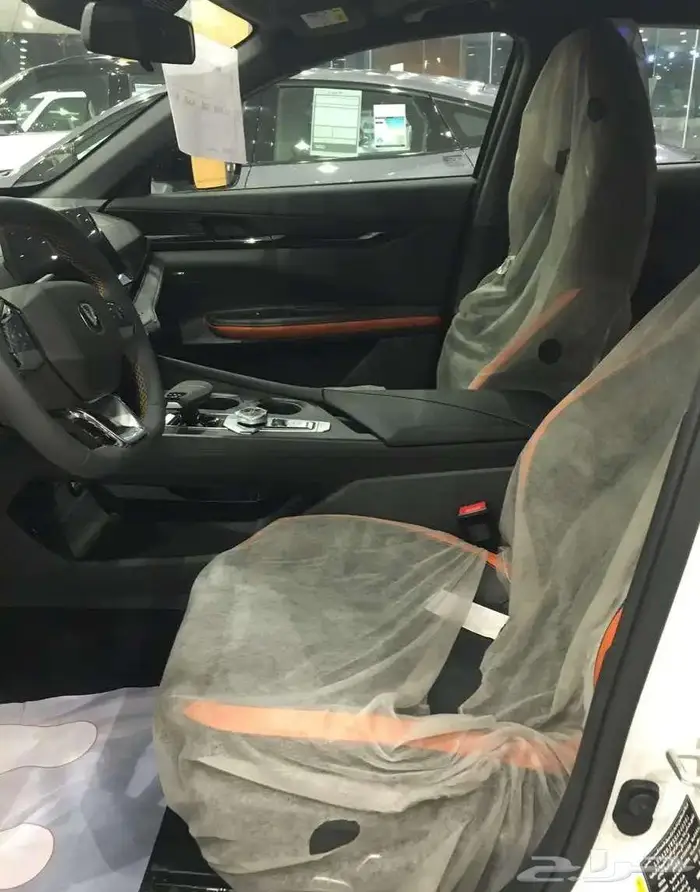 شانجان يونى فى سبورت 2026 13