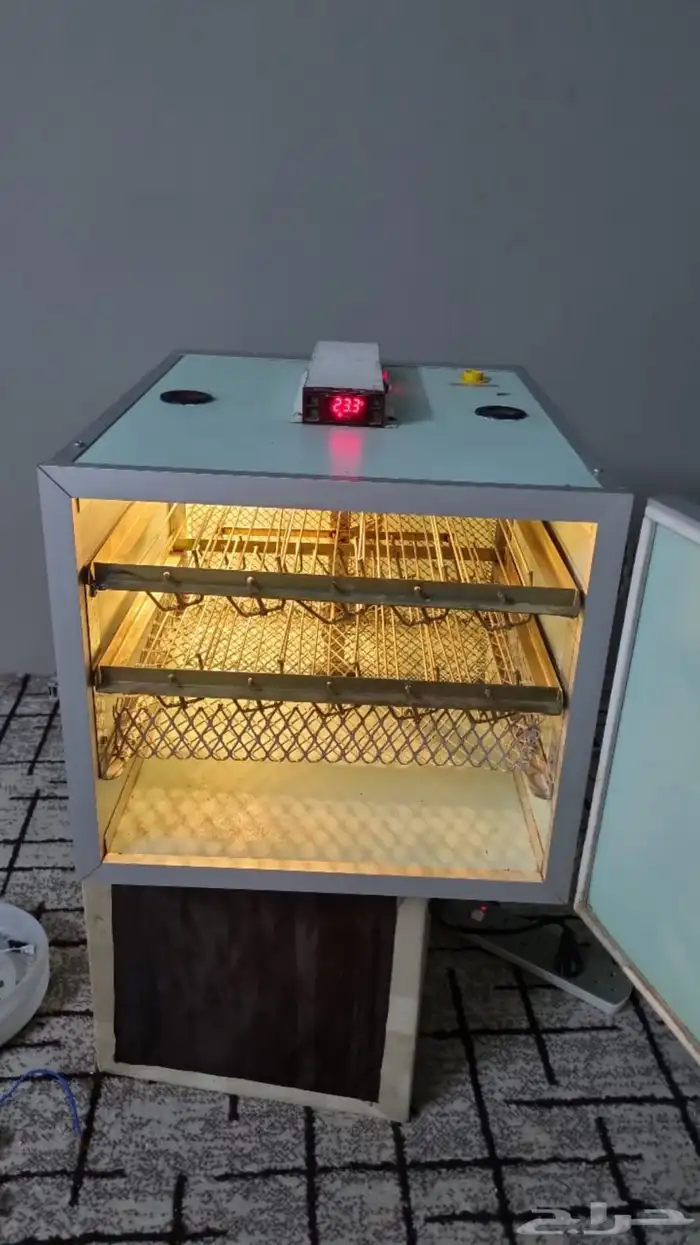 فقاسه فيم الايطاليه 6