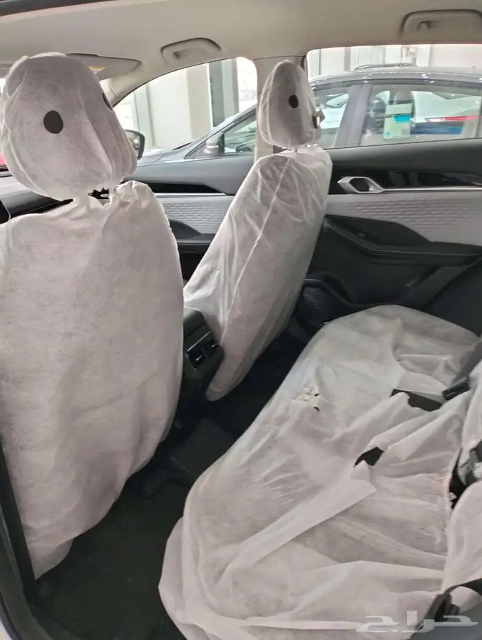 جيلي كولراي 2025 استندر (61.870) 9