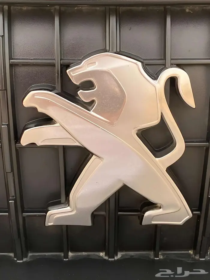 فان عائلي بيجو اكسبيرت 2023 جاهز للاستخدام 23