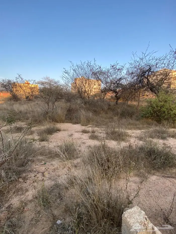 أرض للبيع في أحد رفيدة مركز الواديين حي الربوة 4