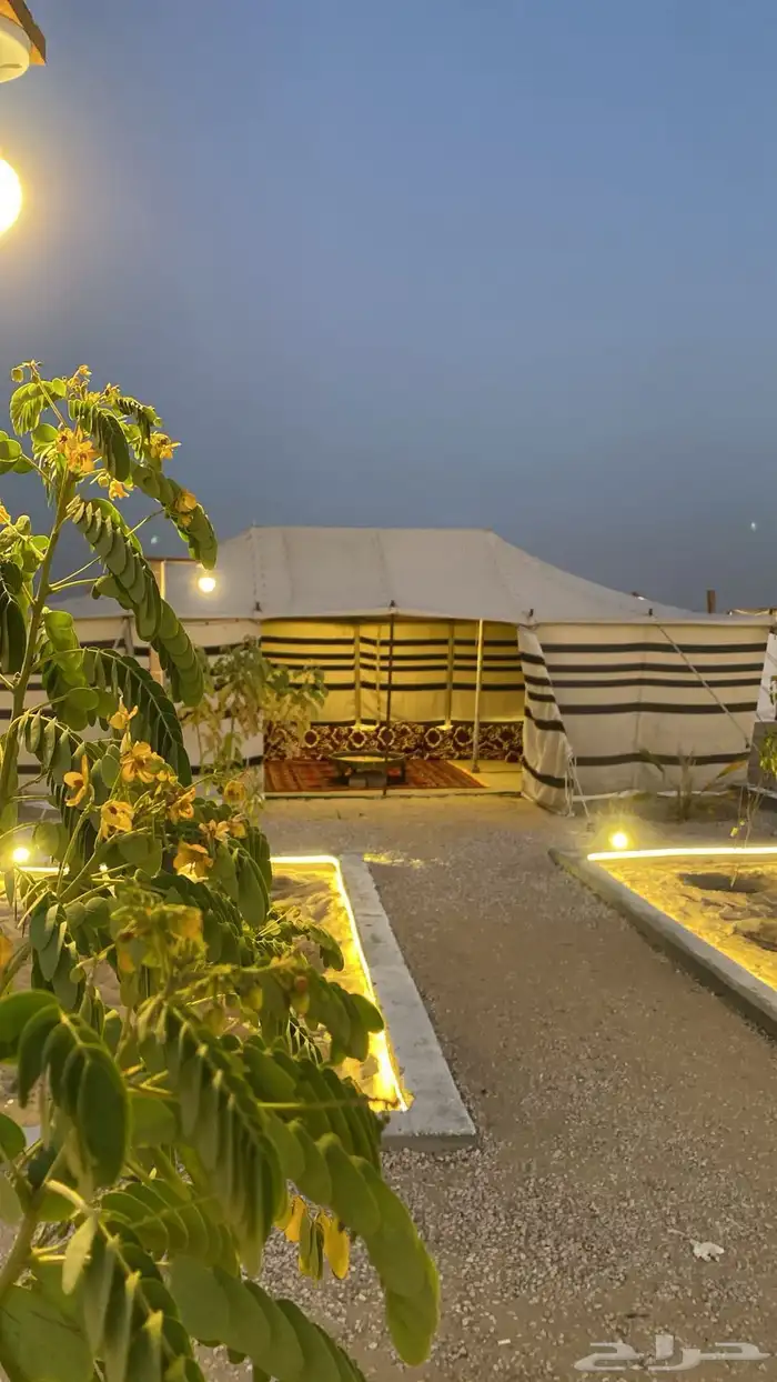 مخيم ايجار على طريق مطار الدمام vip 41