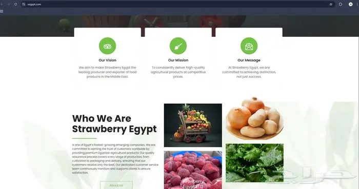 مصمم مواقع   مبرمج مواقع   تصميم متجر   تصميم موقع ويب 3