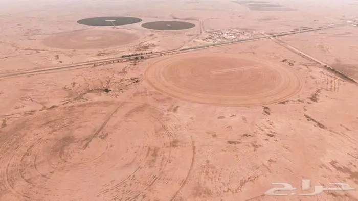 مزرعة للبيع في القصيم شري 3