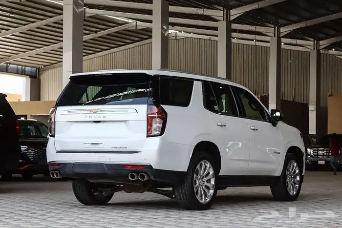 شفر بريمير 2021 بدون دبل 5