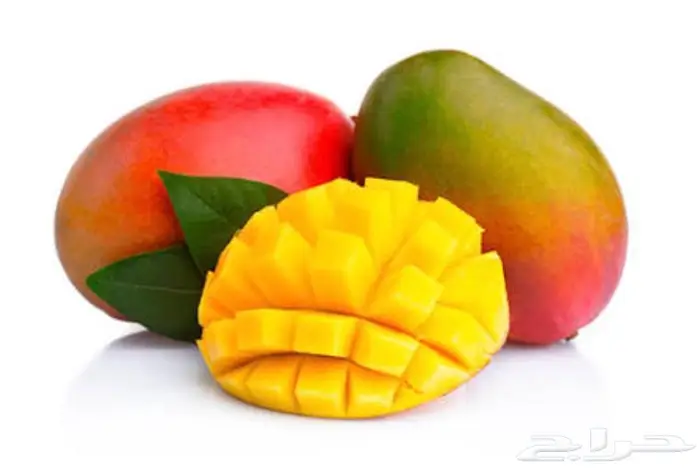 مانجو جازان 1