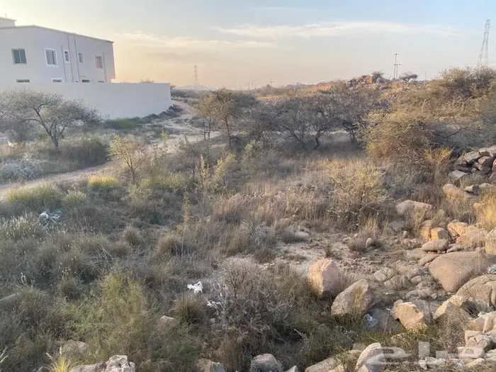 أرض للبيع في أحد رفيدة مركز الواديين حي الربوة 2