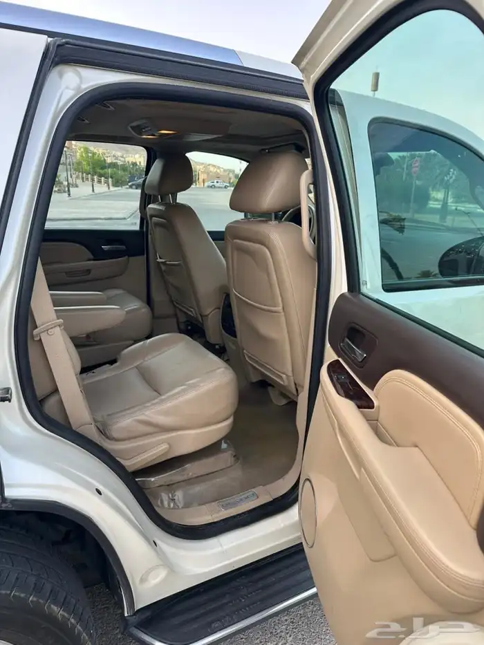 يوكن دينالي 2010 لؤلؤي 26