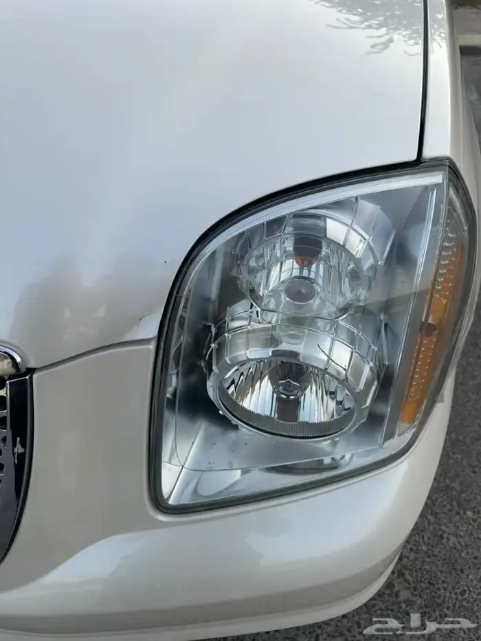 يوكن دينالي 2010 لؤلؤي 9