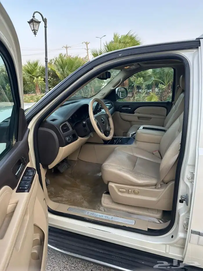 يوكن دينالي 2010 لؤلؤي 14