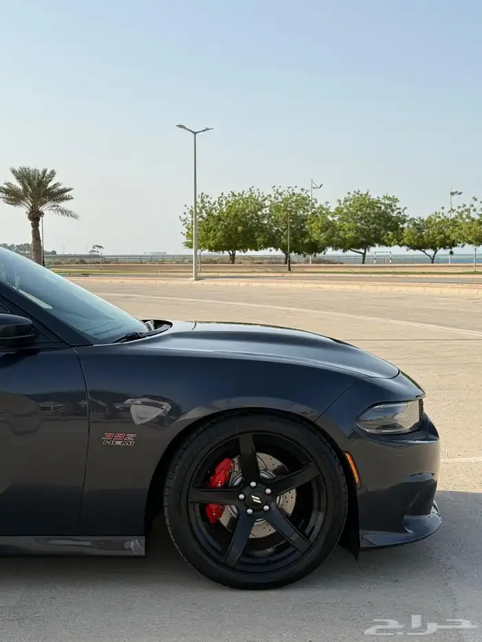 دوج تشاجر (( 2018 )) 1