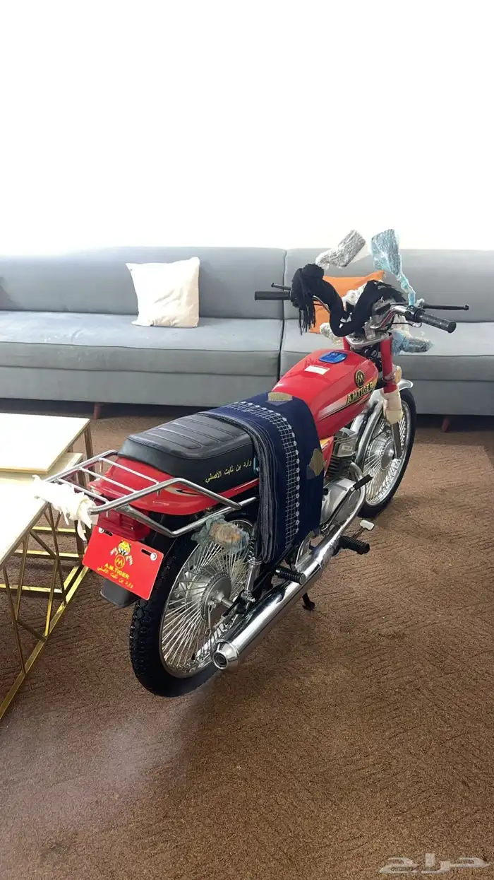 دباب وارد بن ثابت 1