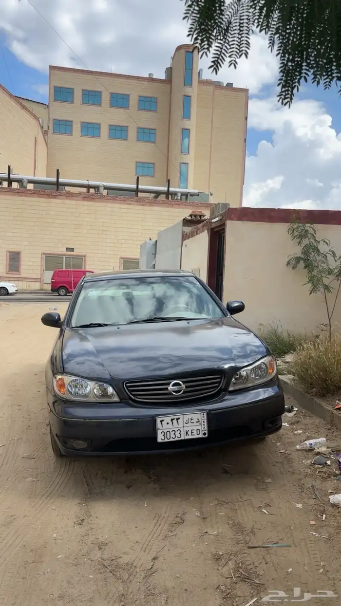 ماكسيما لوحه شبه مميزه 12