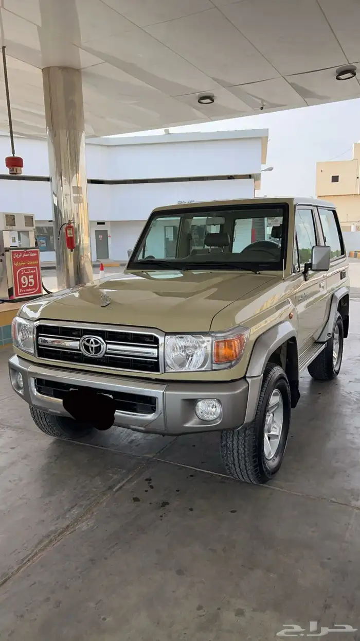 جيب ربع 2010 حكومي 2