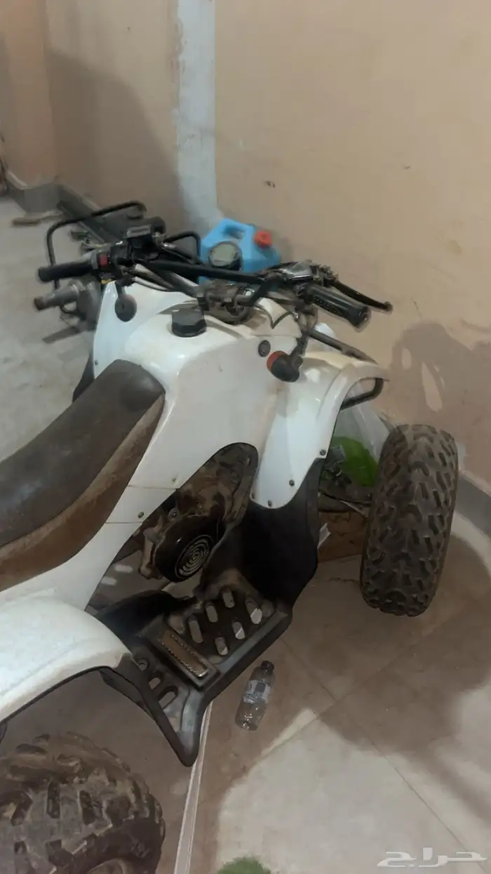 دباب تايون مقاس 100 0