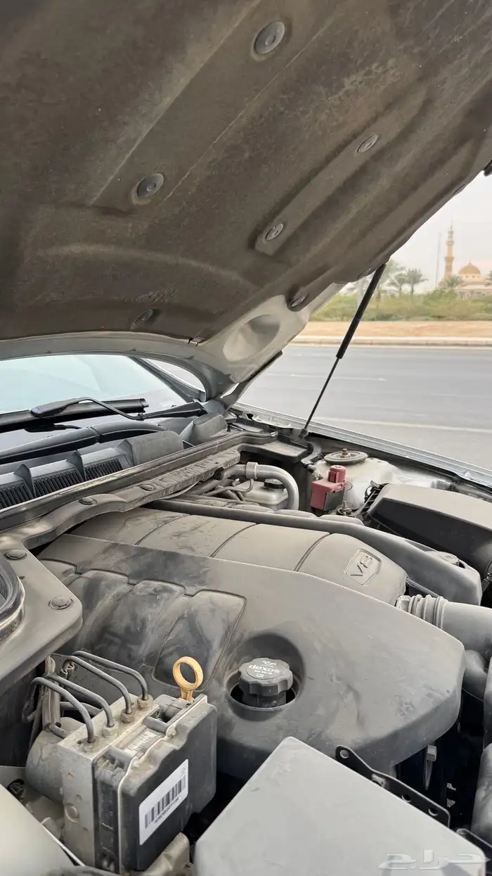 كابرس 2013 بدي وكالة 46