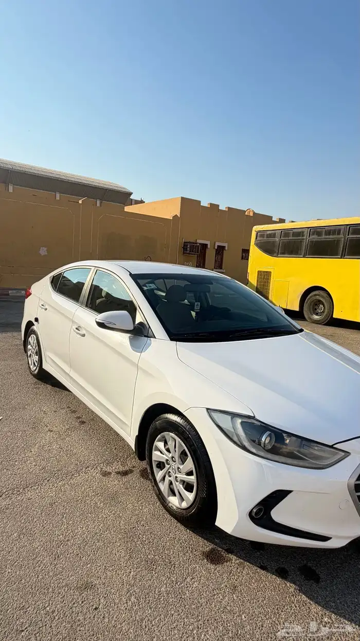 النتراء 2017 للبيع 5