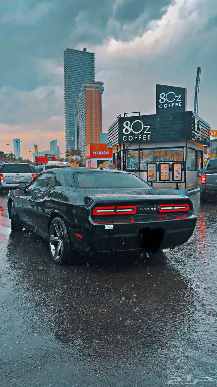 دوج 2009 6 سرندل 0