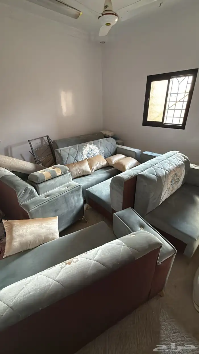 الكنب والمخدات والفرشه فقط للبيع ( نظيف ) 1